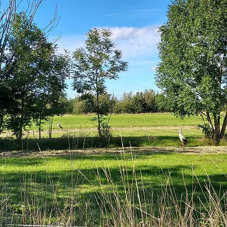 In A Cozy Village In Southern Jutland Villa Tønder