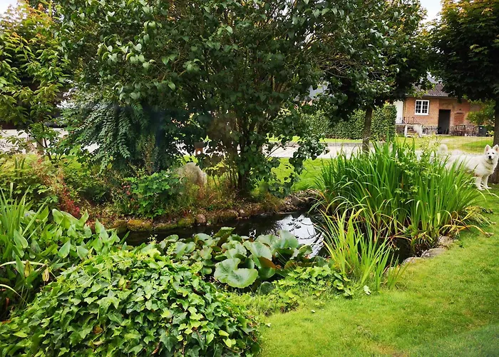 In A Cozy Village In Southern Jutland *