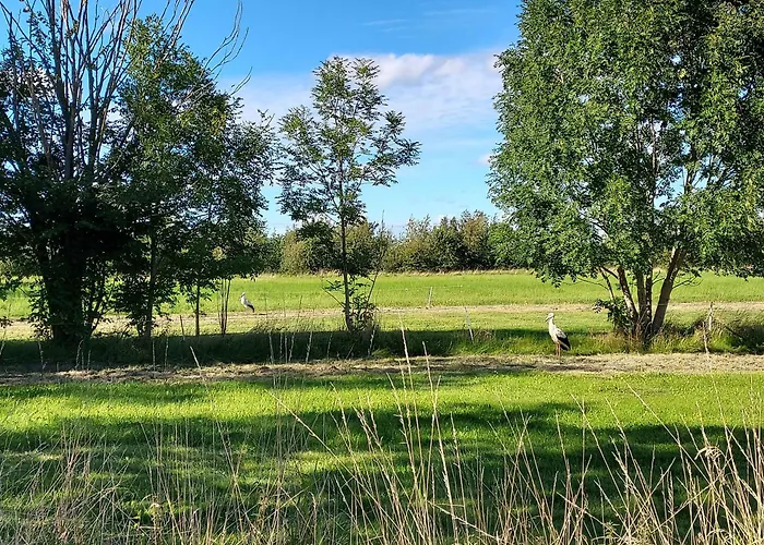 In A Cozy Village In Southern Jutland Villa Tønder